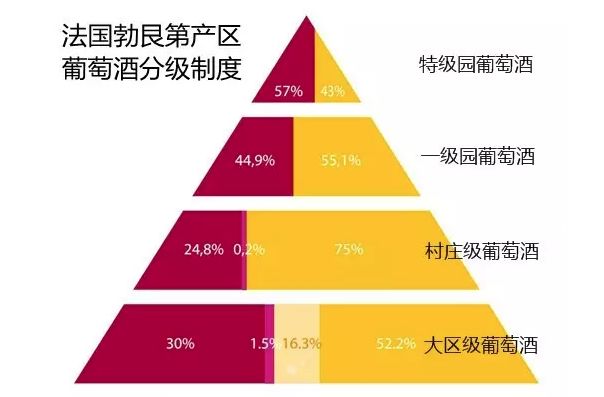 澳门和香港特马今晚开，民主解答解释与落实展望