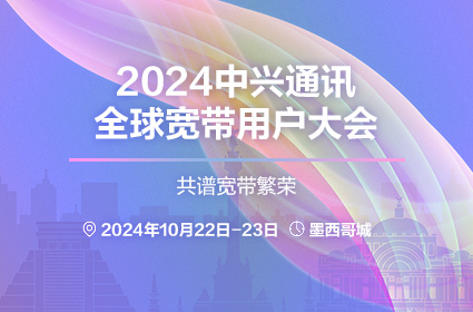 迈向未来，关于2025正版资料免费公开的展望与富强解答的解释落实