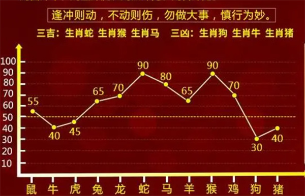 最准一肖一码，词语释义解释与落实展望