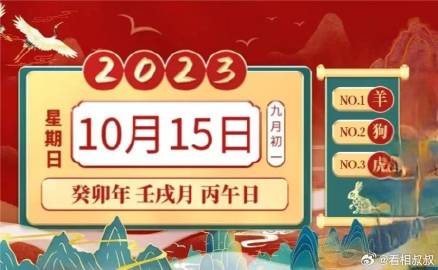 一肖一码一一肖一子，全面释义解释与落实展望