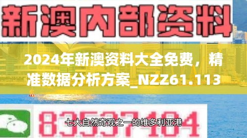 新澳2025正版资料免费公中，详细解答、解释与落实