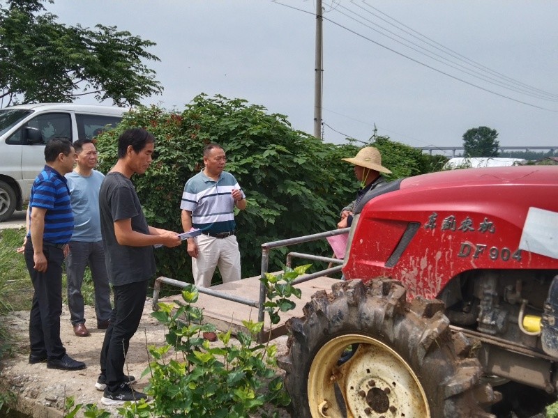 假烟最新事件，揭示产业黑幕与打击行动