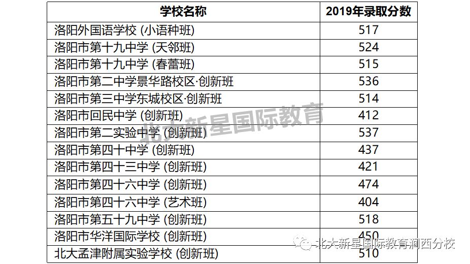 朱志鑫高会最新动态与深度解析