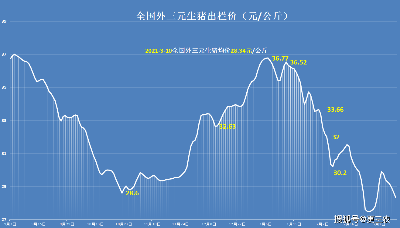 湖北猪价最新行情分析