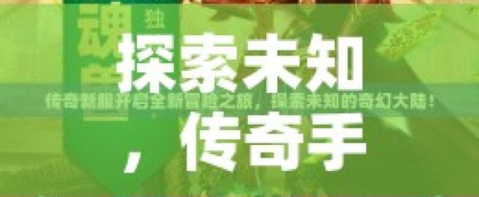 关于伊的最新消息，探索未知，展现新篇章