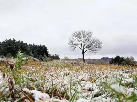 霜冻最新消息，影响、预警与应对措施