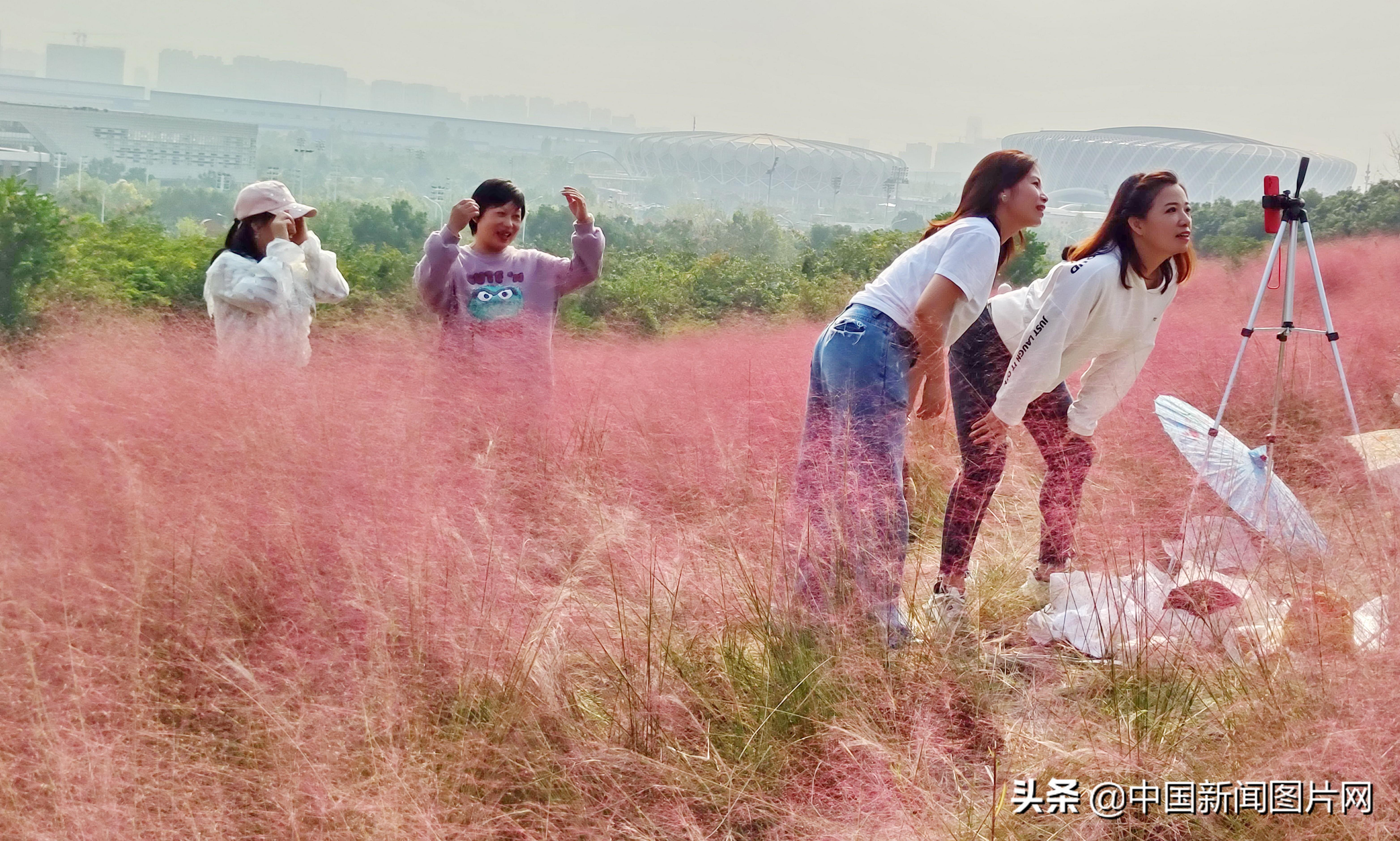 武汉二妃山最新动态与变迁